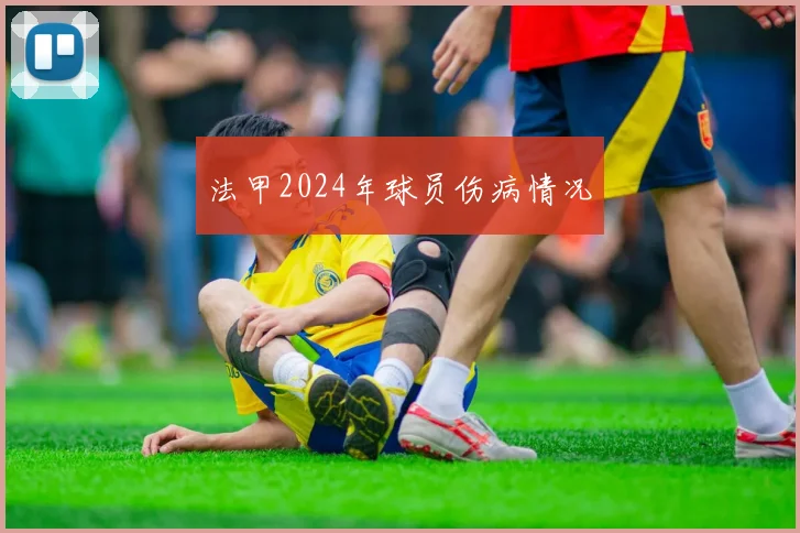 法甲2024年球员伤病情况