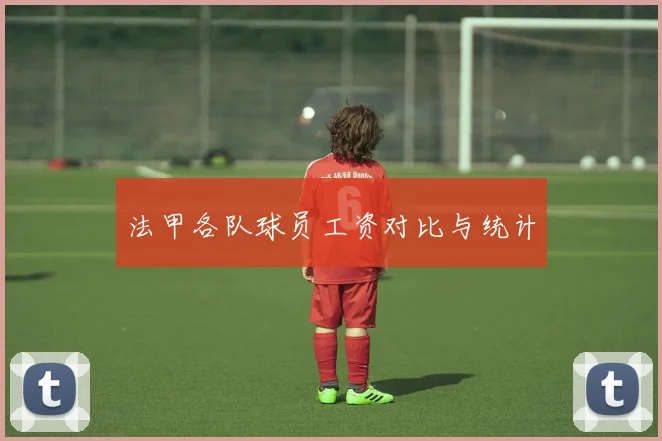 法甲各队球员工资对比与统计