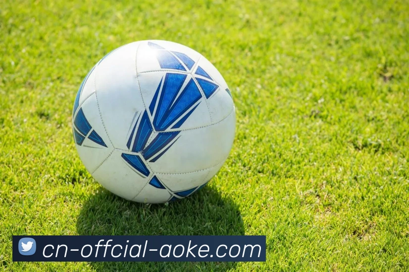 澳客足彩APP 体育赛事宣传图